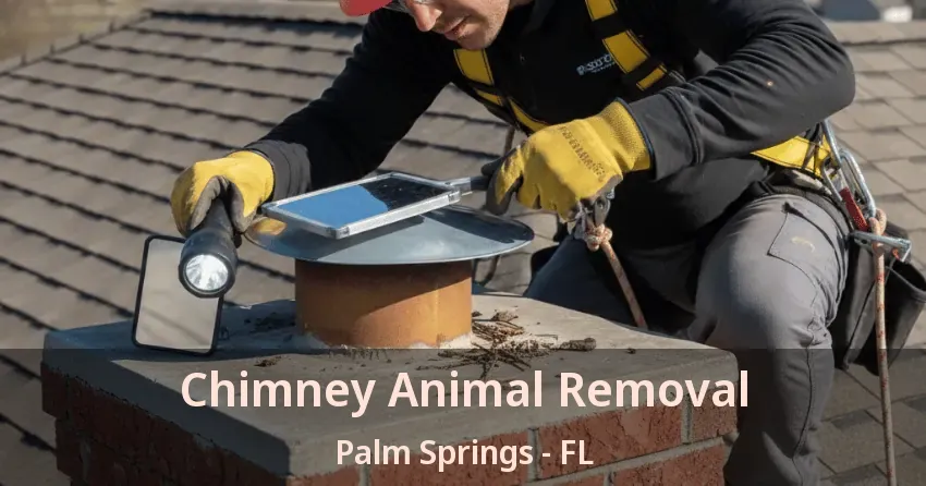 Chimney Animal Removal Palm Springs - FL
