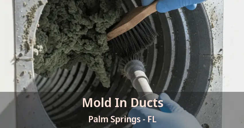 Mold In Ducts Palm Springs - FL
